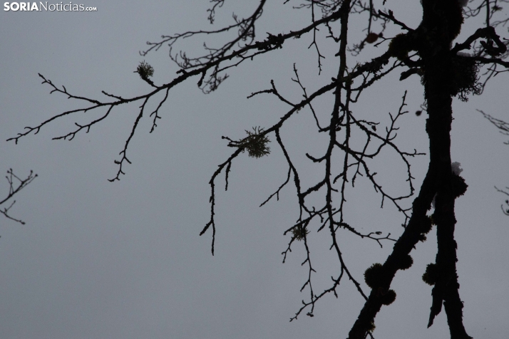 Nieve en El Chorrón