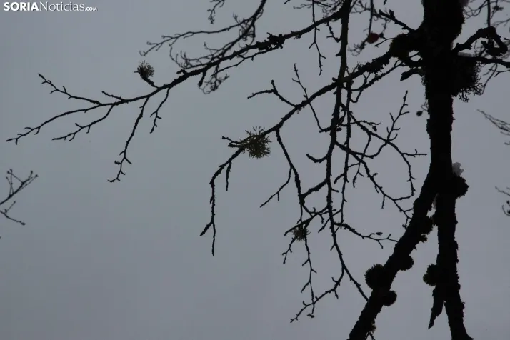 Nieve en El Chorrón