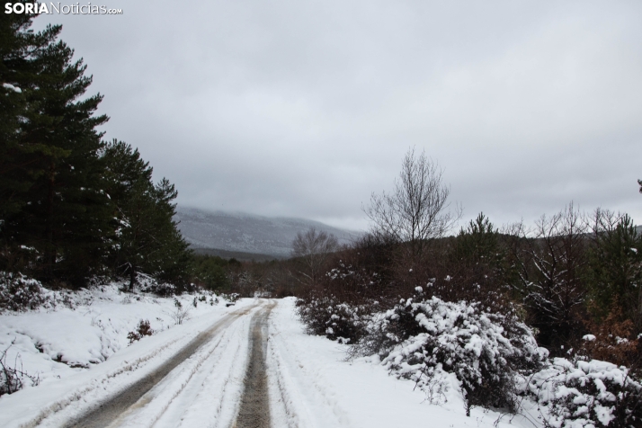 Nieve en El Chorrón