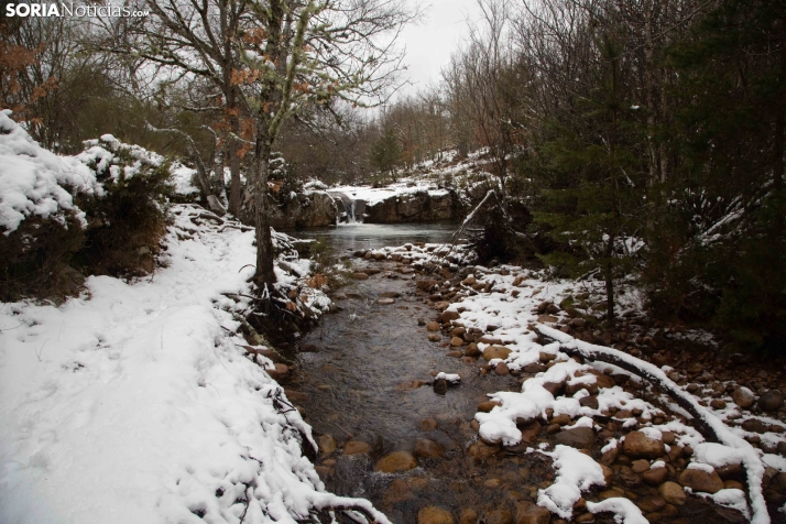 Nieve en El Chorrón