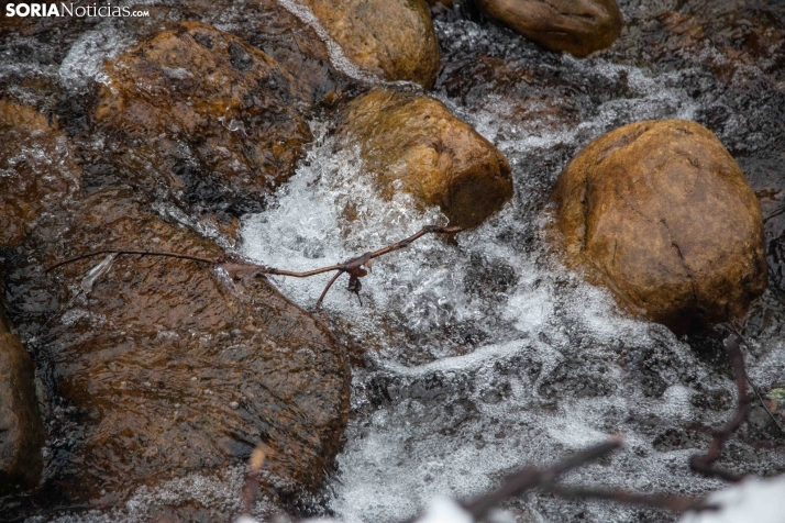 Nieve en El Chorrón