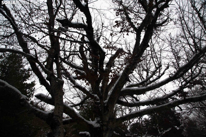 Nieve en El Chorrón