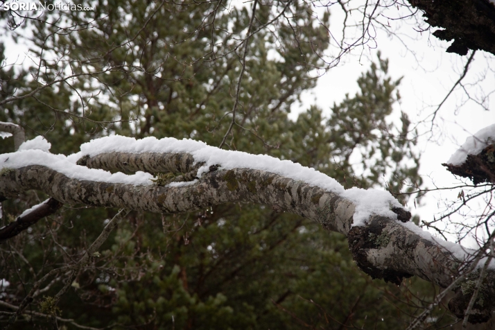 Nieve en El Chorrón