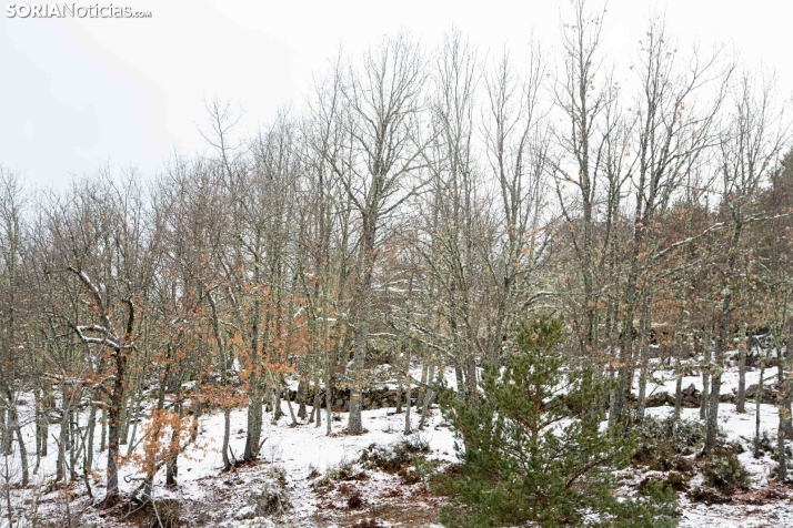 Nieve en El Chorrón