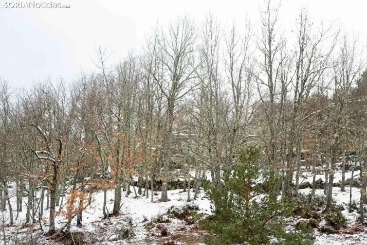 Nieve en El Chorrón