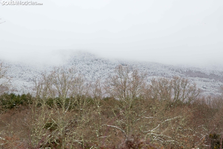 Nieve en El Chorrón