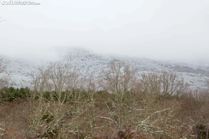 Nieve en El Chorrón