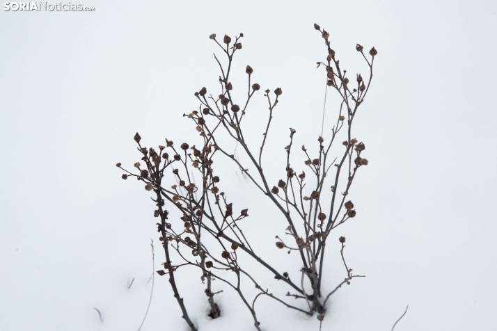Nieve en El Chorrón