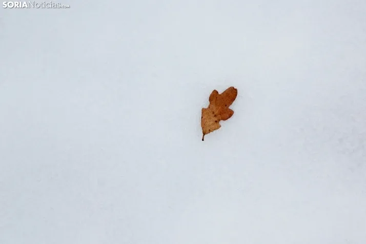 Nieve en El Chorrón