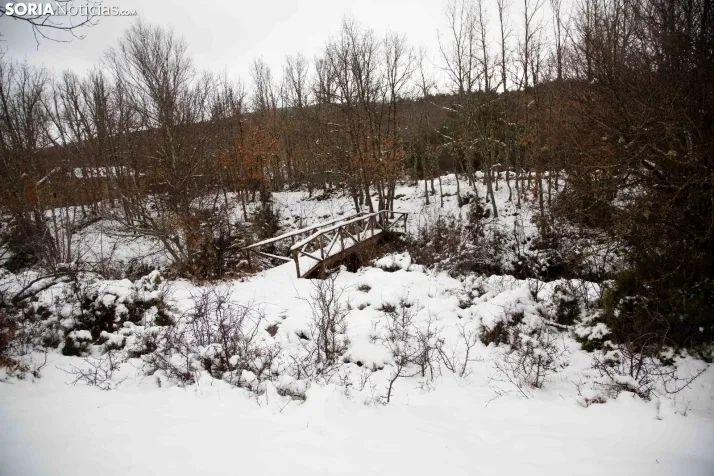 Nieve en El Chorrón