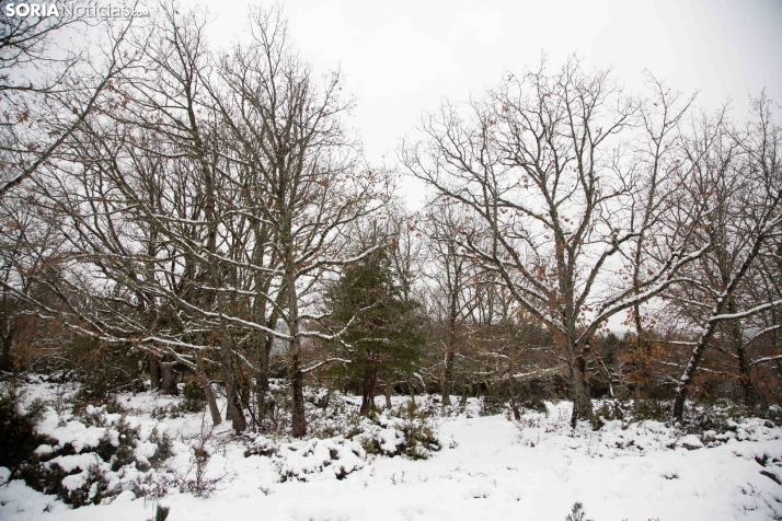 Nieve en El Chorrón