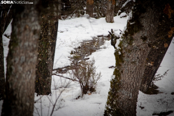 Nieve en El Chorrón