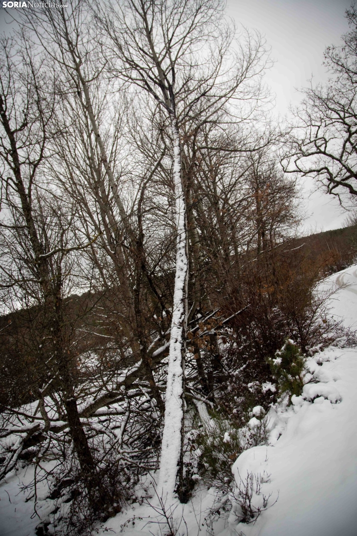 Nieve en El Chorrón