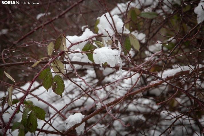 Nieve en El Chorrón