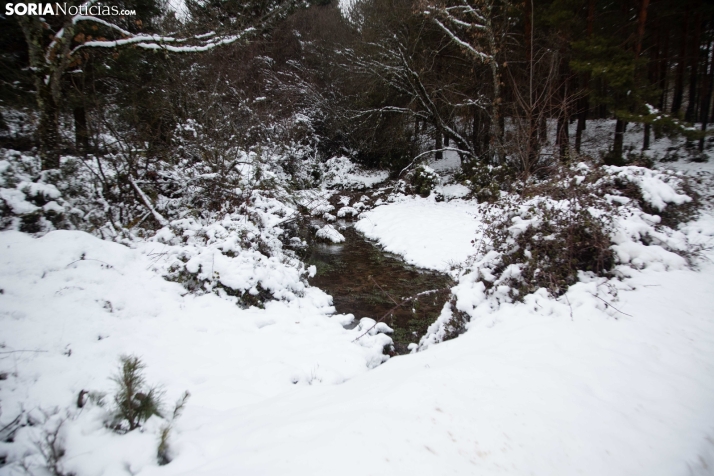 Nieve en El Chorrón