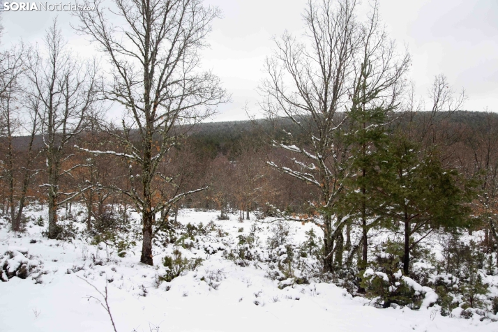 Nieve en El Chorrón