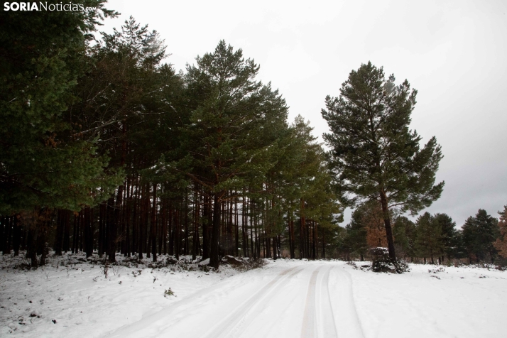Nieve en El Chorrón