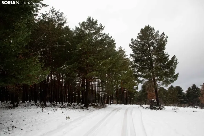 Nieve en El Chorrón