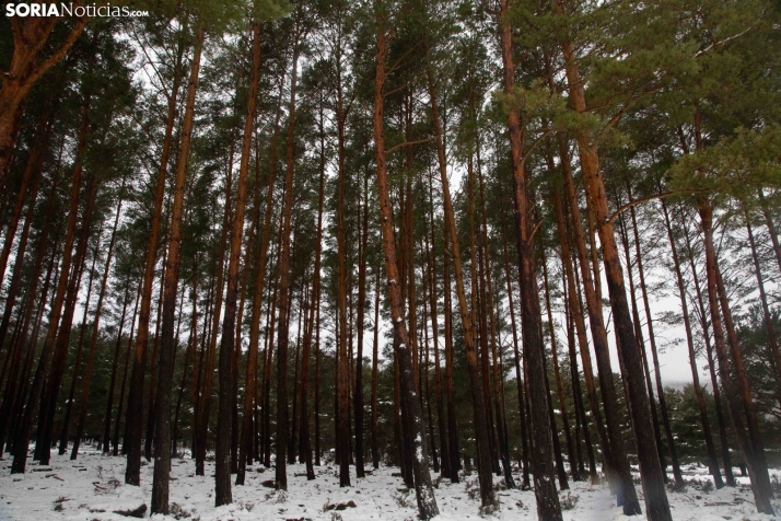 Nieve en El Chorrón