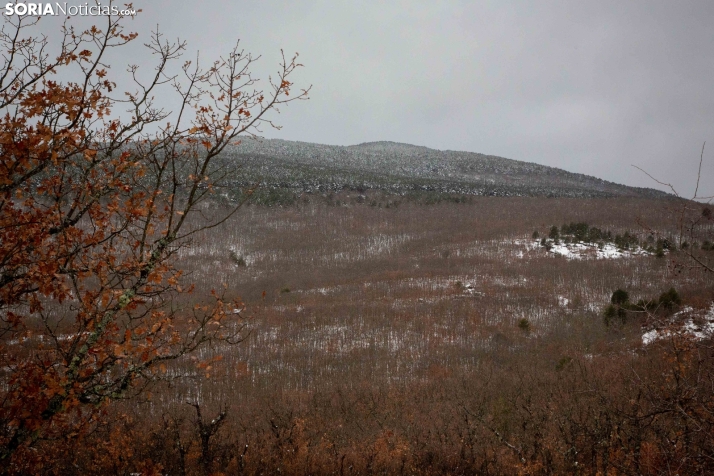 Nieve en El Chorrón