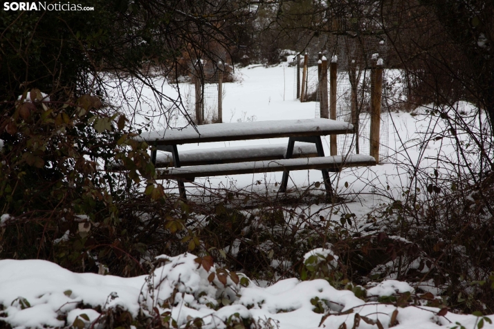 Nieve en El Chorrón