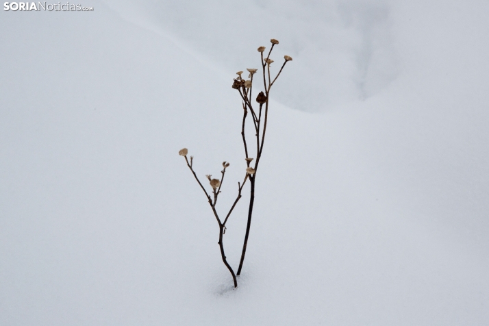 Nieve en El Chorrón