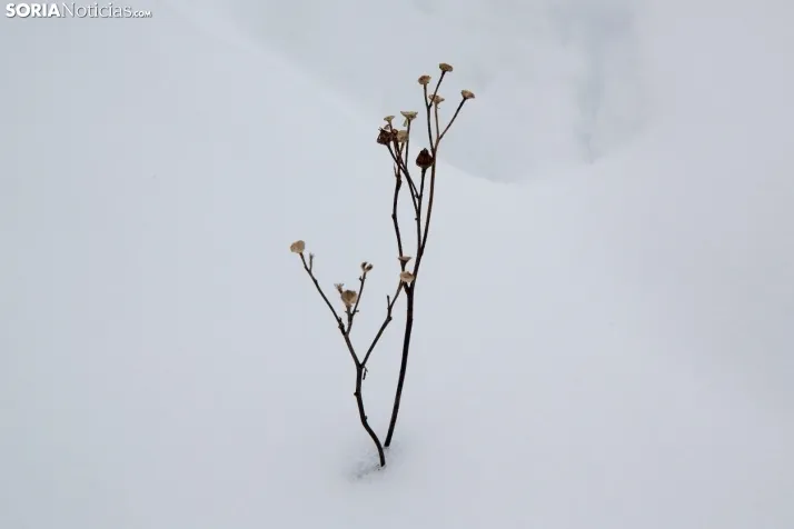 Nieve en El Chorrón
