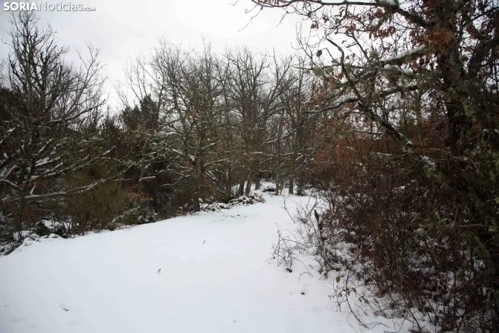 Nieve en El Chorrón