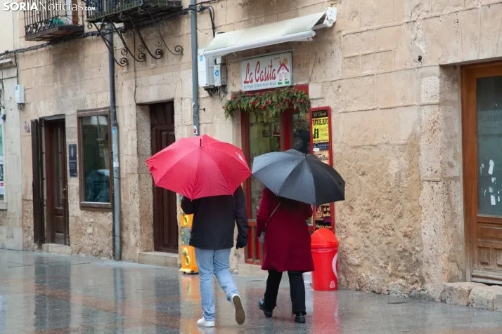 Paje Real en El Burgo