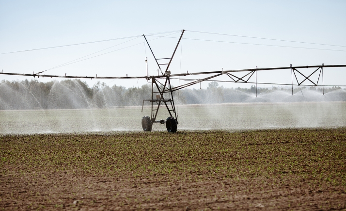 El viñedo y la industria agroalimentaria suman hectáreas de riego