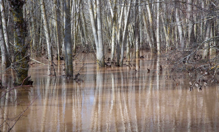 Carreteras y caminos copan las ayudas por la DANA de 2025 con 3,7 millones