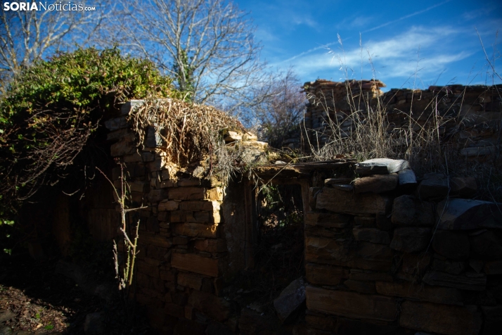 Un paseo fotográfico por Taniñe