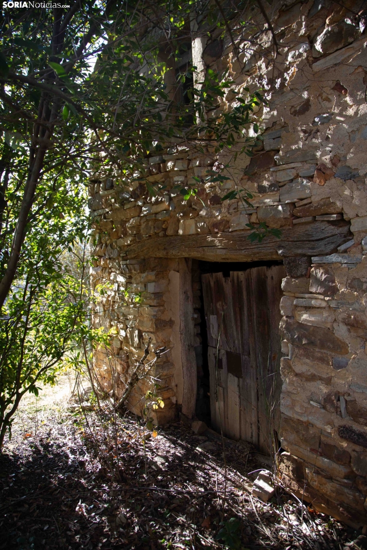 Un paseo fotográfico por Taniñe