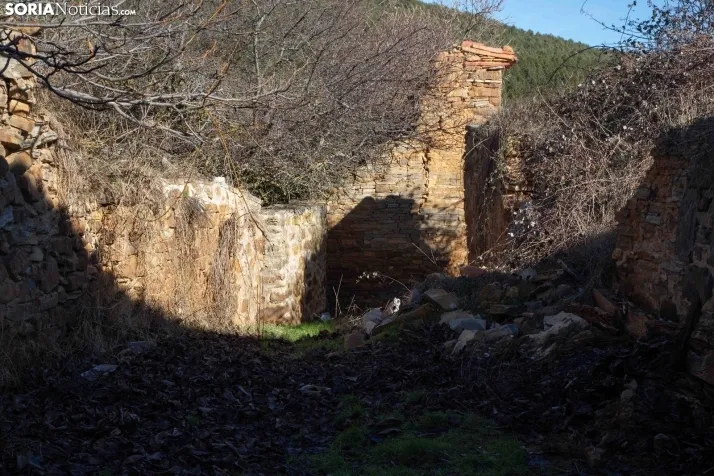 Un paseo fotográfico por Taniñe