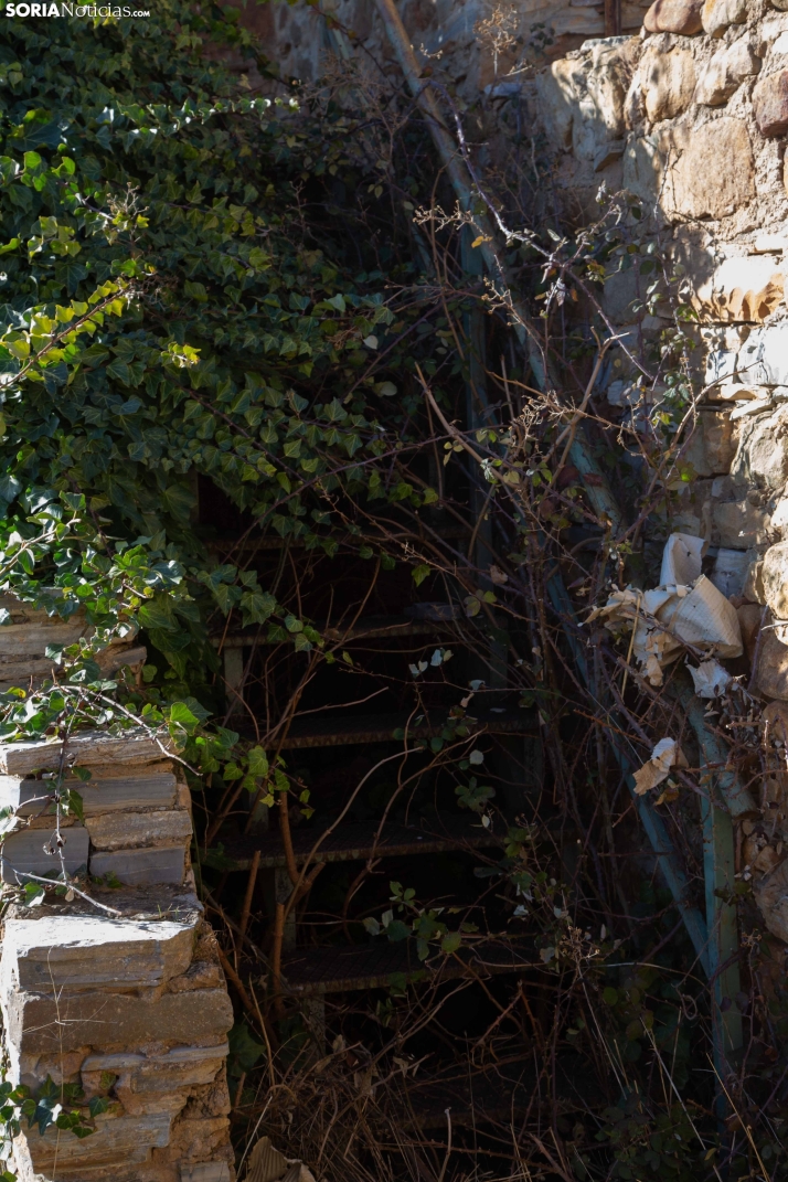 Un paseo fotográfico por Taniñe