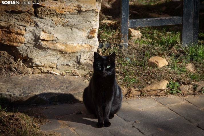 Un paseo fotográfico por Taniñe