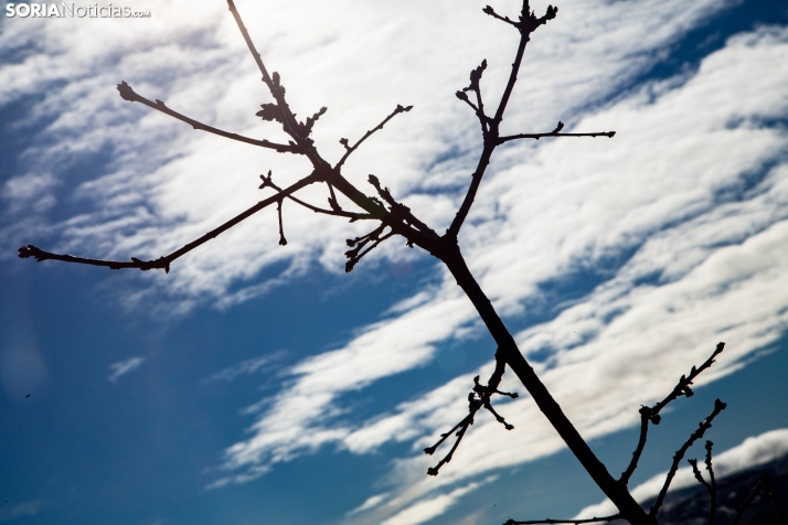 Un paseo fotográfico por Taniñe