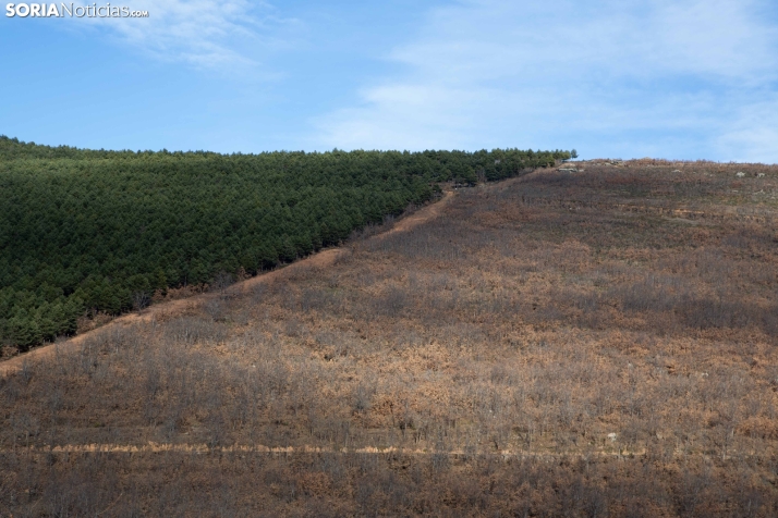 Un paseo fotográfico por Taniñe
