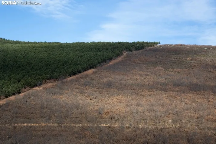 Un paseo fotográfico por Taniñe