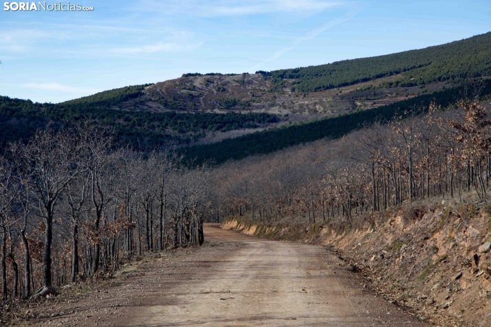 Un paseo fotográfico por Taniñe