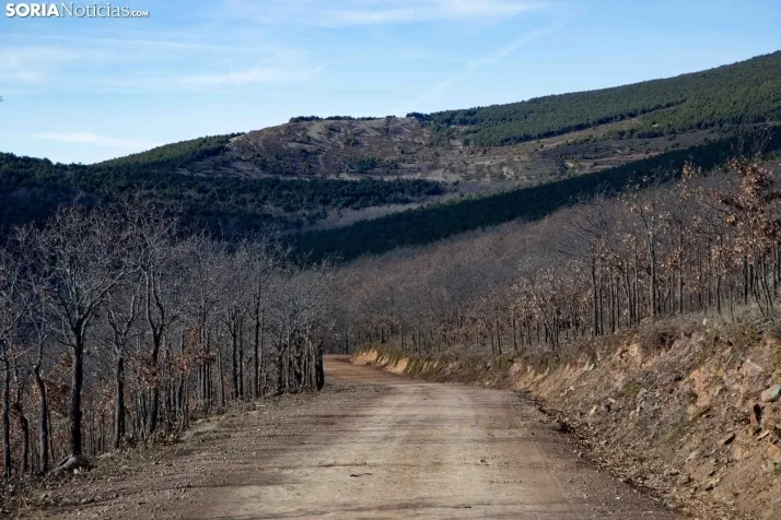 Un paseo fotográfico por Taniñe