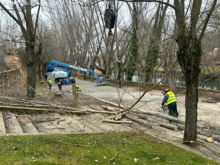Retirada de la pasarela sobre el río Duero. 