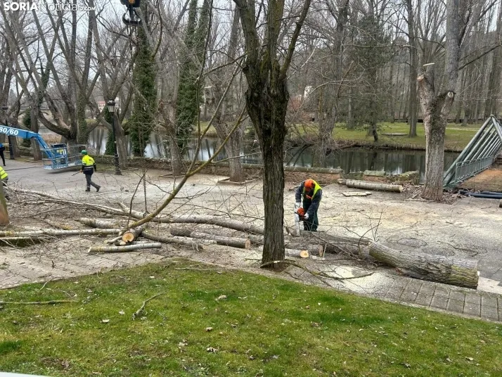 Retirada de la pasarela sobre el río Duero. 