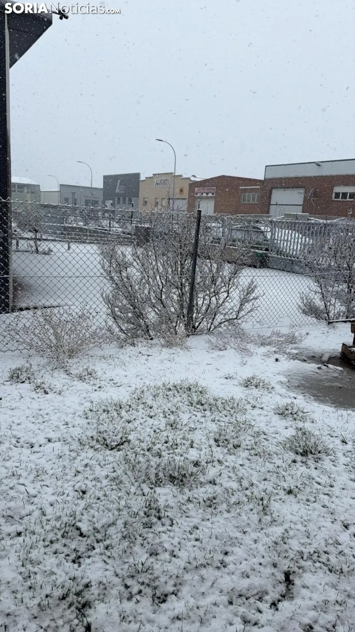 Una imagen de la nevada esta mañana de miércoles. /SN