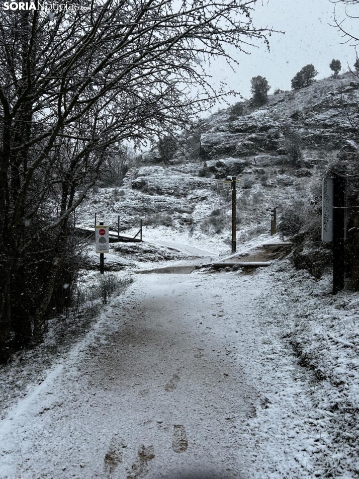 Una imagen de la nevada esta mañana de miércoles. /SN
