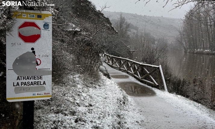 Una imagen de la nevada esta mañana de miércoles. /SN