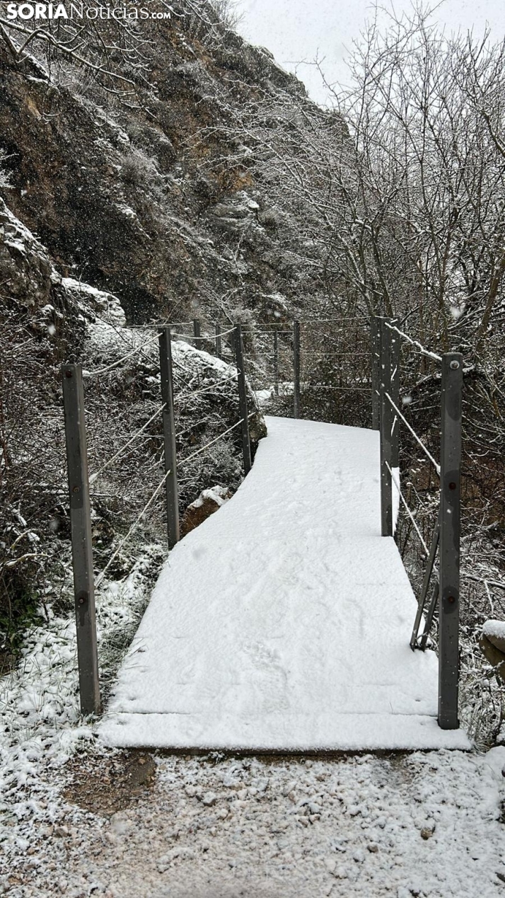 Una imagen de la nevada esta mañana de miércoles. /SN