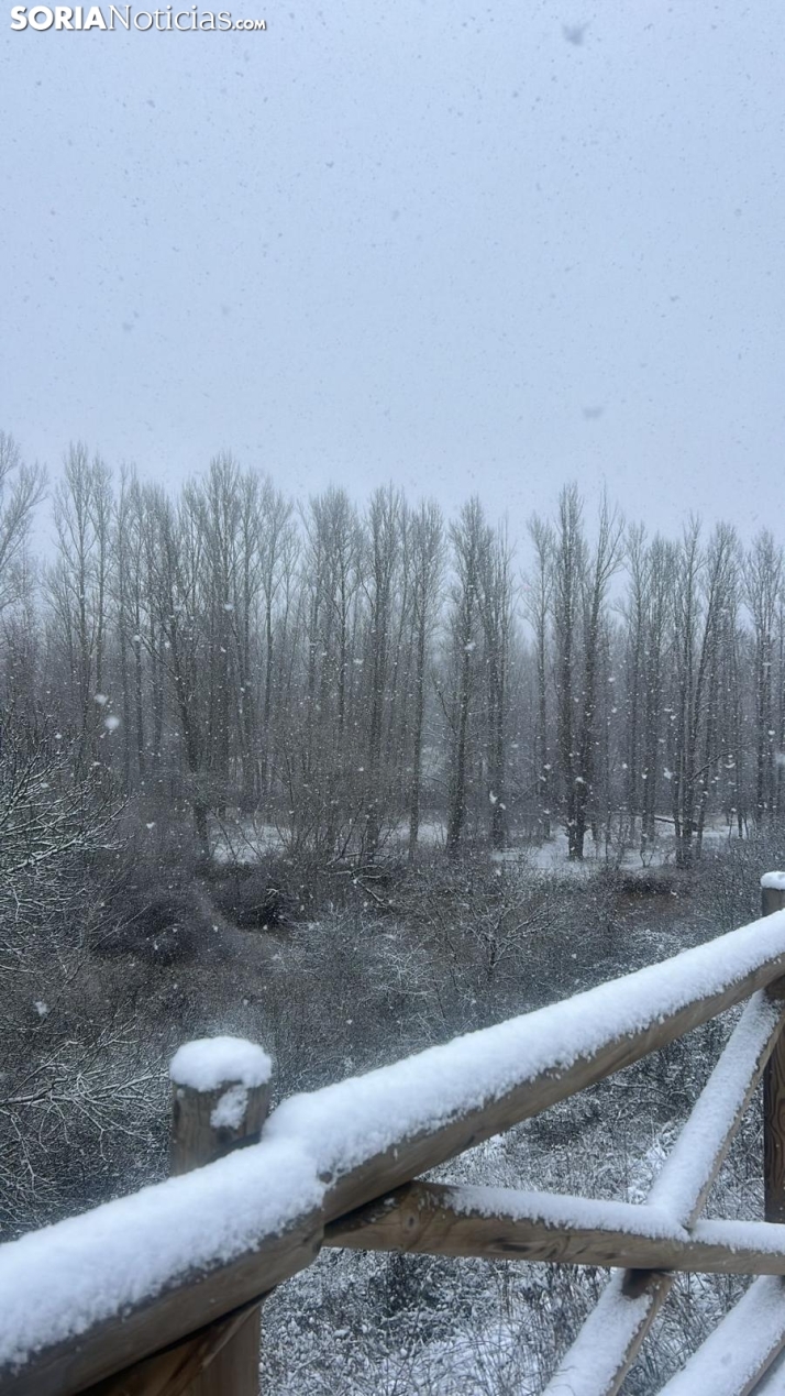 Una imagen de la nevada esta mañana de miércoles. /SN