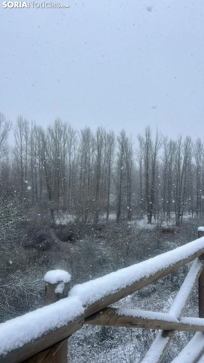 Una imagen de la nevada esta mañana de miércoles. /SN
