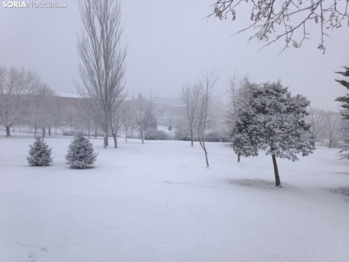 Una imagen de la nevada esta mañana de miércoles. /SN